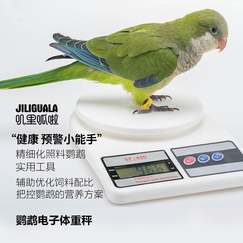鹦鹉体重秤，体重监控电子秤