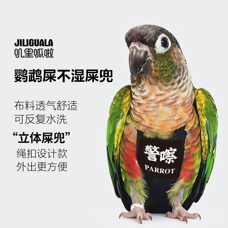 无底缝鹦鹉鸟用尿不湿衣服屎兜尿裤尿布飞行服玄凤牡丹虎皮放飞绳