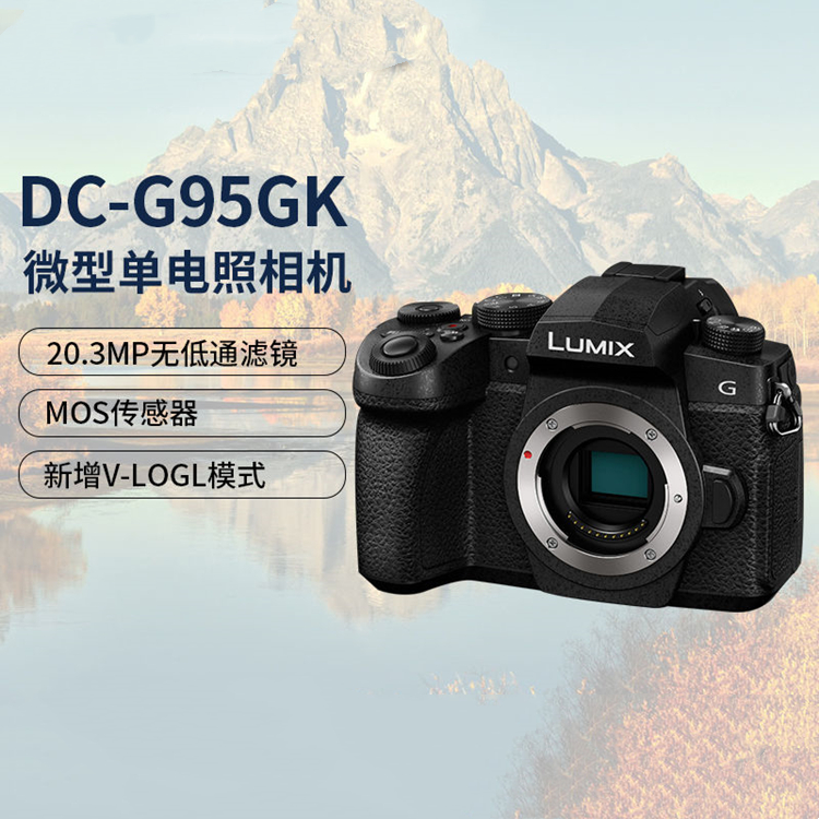 Panasonic/松下 DC-G95GK G95 微单相机 Vlog 4K 高清视频 数码相机/单反相机/摄像机 单电微单 原图主图