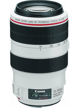 Canon/佳能 70-300MM F4-5.6L IS USM 防抖单反镜头全画幅红圈