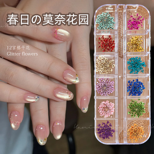 美甲新款12格莫奈花园干花