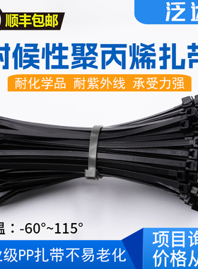 美国泛达聚丙烯PP扎带PLT1M-M100耐酸碱耐腐蚀黑色耐高温束线带