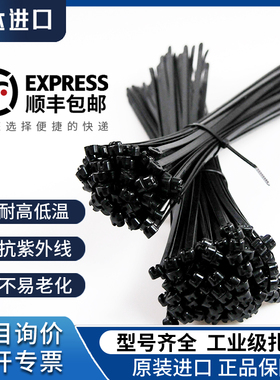 美国泛达BT2S-M0低温尼龙工业电缆电线绑带线耐寒进口扎带黑色