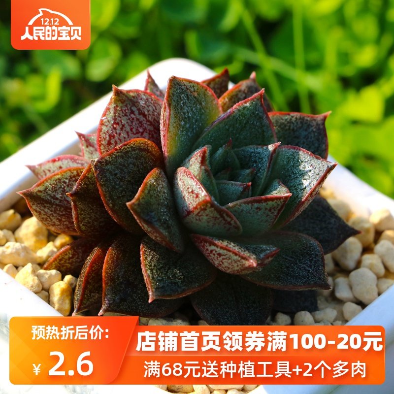 网友分享在meiguo.com的图片