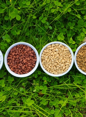 多肉植物专用营养土园艺绿植花卉肥料铺面白色小石子赤玉土火山石