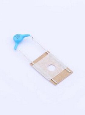 DE1E3RA102MN4AP01F 安规电容 等级:X1,Y1 1nF ±20% 300V 插件,P