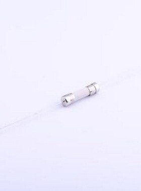 021502.5MXEP 一次性保险丝 陶瓷管保险丝 插件,D5.8xL22.5mm