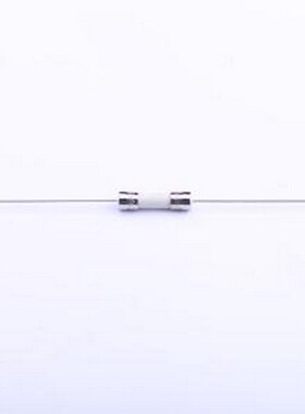 0215010.MXEP 一次性保险丝 陶瓷管保险丝 插件,D5.8xL22.5mm