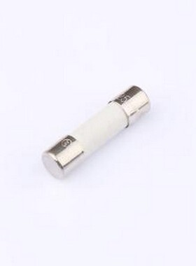 BTC1125 一次性保险丝 陶瓷管式 1.25A 250V 慢断5*20保险丝 D5xL