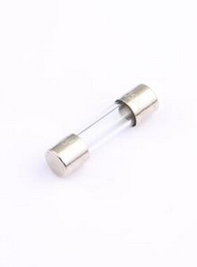 0034.3123 一次性保险丝 250V -