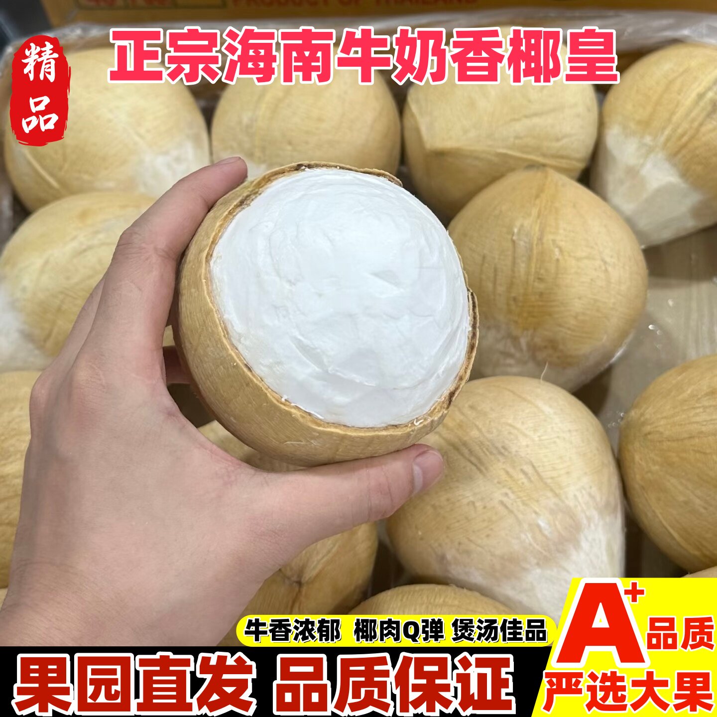 正宗海南牛奶香椰皇小椰奶新鲜椰青去皮椰子蛋孕妇补羊水果汁肉