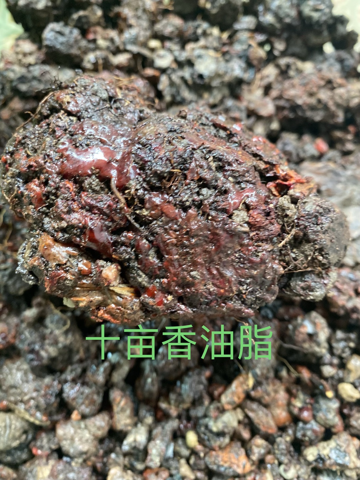 海南降真香如兰似麝十亩香油脂天然油膏海南降真香油脂 洗护清洁剂/卫生巾/纸/香薰 香薰粉 原图主图