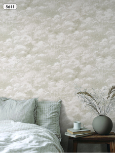 韩国进口LX防水可擦艺术微雕质感棉花白灰色云朵卧客厅背景墙壁纸