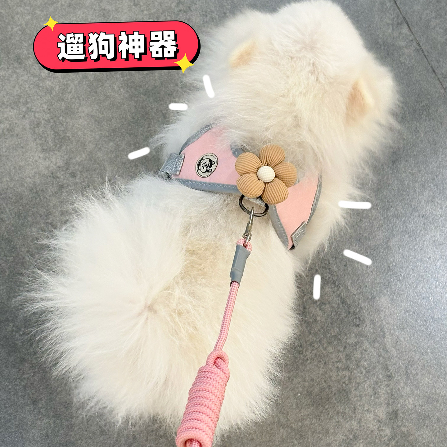 粉色毛绒小型犬防挣脱牵引绳