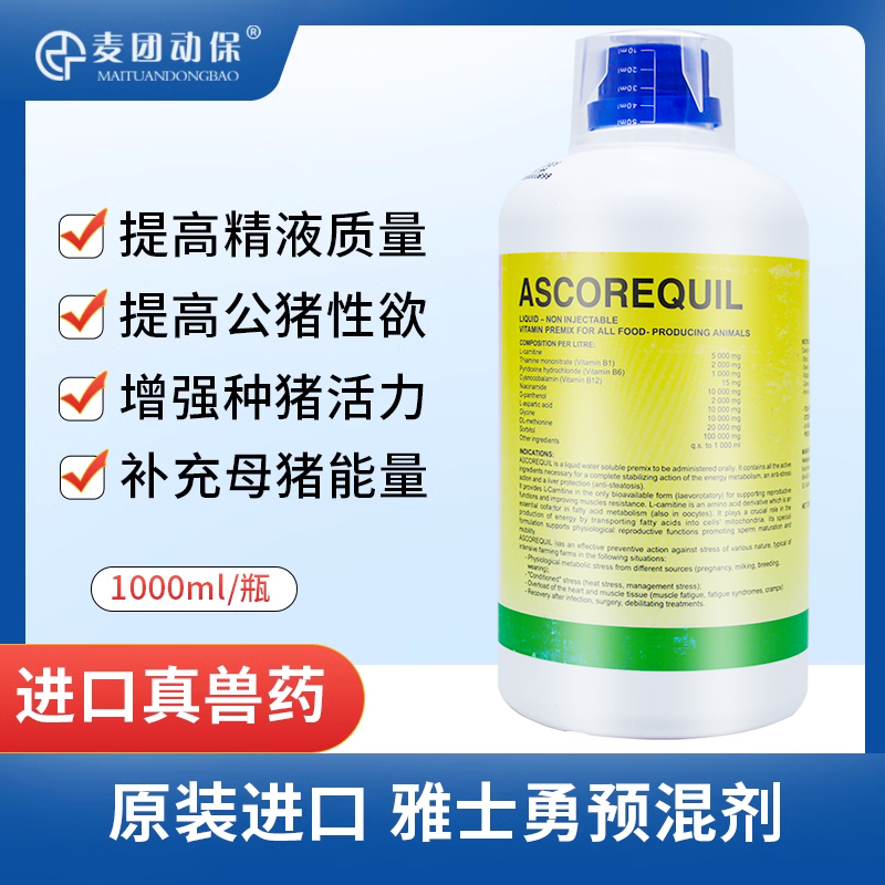 雅士勇公豬提高精液質量