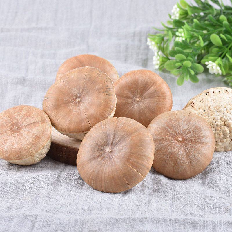 风流果龟头子500g包邮掉藤果双肾子广西,传统滋补营养品,传统滋补品其他,淘宝优惠券,粉丝福利购,淘宝优惠卷