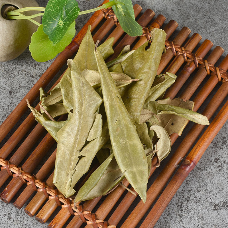 胡颓子叶胡秃子叶胡颓叶蒲颓子叶鲜胡颓子叶羊奶500g