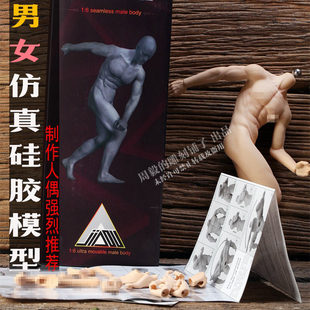 手办人偶素体绘画参考人体骨骼肌肉纹理可动硅胶模型周毅捏塑翻糖