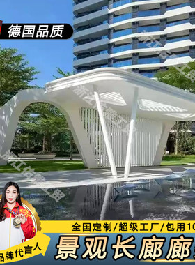 定制金属异形廊架小区不锈钢铝合金防腐木凉亭大门景观钢结构长廊