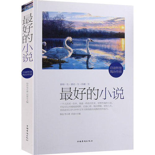正版 最好的小说 全书收录了鲁迅老舍冰心泰戈尔等文学大家的作品 收录文学界泰斗作品中外文学经典书籍 短篇小说大全集