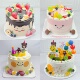 仿真蛋糕模型2026新款 网红小熊水果塑胶样品生日蛋糕橱窗展示定制
