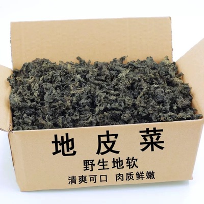 地皮菜干货500g非免洗地软甘肃特产野生地软地木耳雷公菌天然地衣