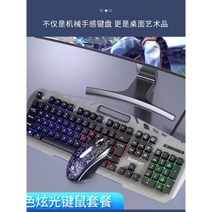 发光电脑台式 双飞蛇有线机械手感键盘鼠标套装 USB背光悬浮键帽办