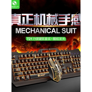 游戏办公发光机械手感专用笔记台式 双飞蛇键盘鼠标套装 专用USB外