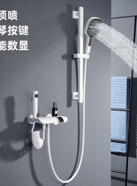 白色简易淋浴恒温套装浴室沐浴全铜家用哑光白色花洒无顶喷简易套