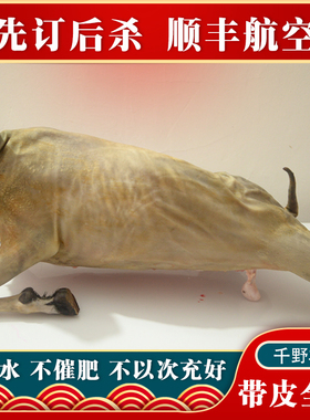 带皮全羊生羊肉新鲜现杀整只山羊全羊肉羊排羊腿白条羊烧烤全羊
