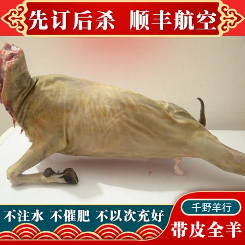 带皮新鲜现杀整只白条烧烤生羊肉
