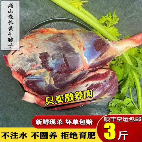 重庆新鲜现杀散养土黄牛肉牛腱子