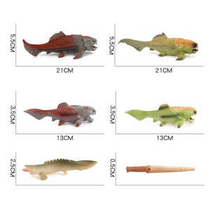 儿童仿真海洋生物模型邓氏鱼鹦鹉螺杆菊石海底世界实心静态玩具