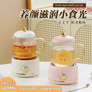网红款迷你养生壶家用烧水杯600ml办公室煮茶炖品热奶小型电炖杯