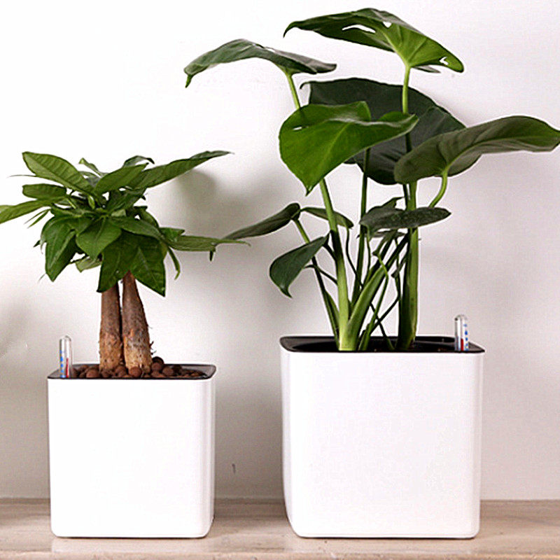 自动浇水花盆素材模板 自动浇水花盆图片下载 小麦优选