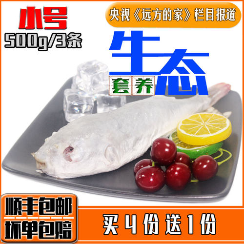 小河豚鱼食用已处理肉肝皮没毒新鲜活体现杀冷冻500g酒店特色食材 - 封面