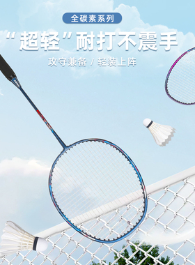 正品双鱼羽毛球拍攻防守兼备碳素防滑减震业余新手学生初学训练拍