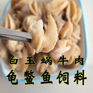 白玉蜗牛肉龟鳖饲料龟粮巴西龟草龟食物陆龟观赏龟专用小乌龟粮