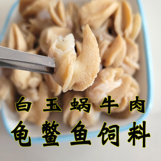 白玉蜗牛肉龟鳖饲料龟粮巴西龟草龟食物陆龟观赏龟专用小乌龟粮食