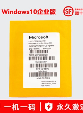 正版Win10 IOT企业版2019 2021 DVD版操作系统Windows10企业版