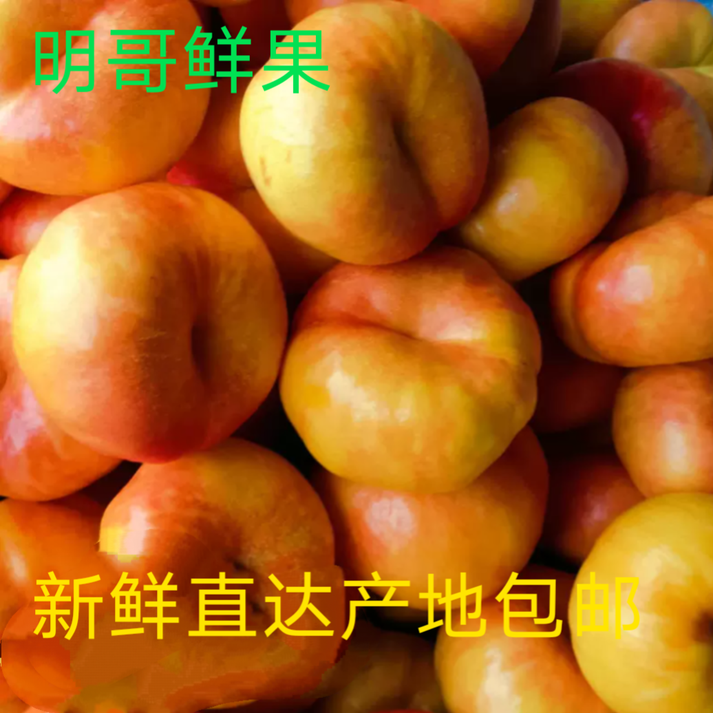 绥中油蟠桃新鲜水果产地果园直发