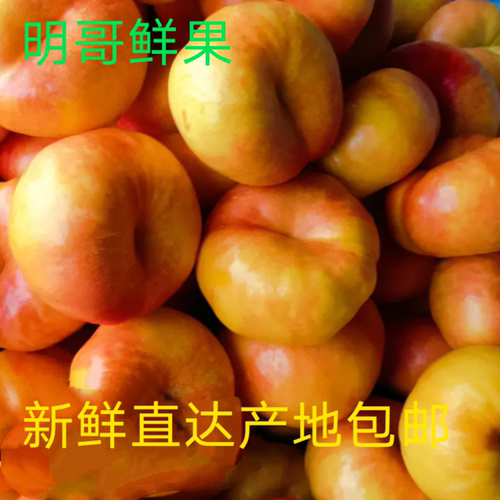 绥中油蟠桃新鲜水果产地果园直发