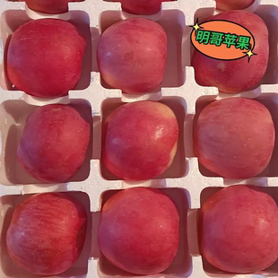 红富士苹果新鲜甜脆糖心正宗绥中产地直发5斤包邮当季送礼水果
