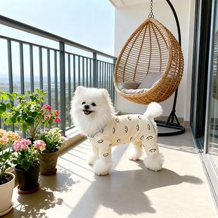 狗狗保暖衣服秋冬款小体泰迪比熊博美小型犬冬季宠物新款四脚服装