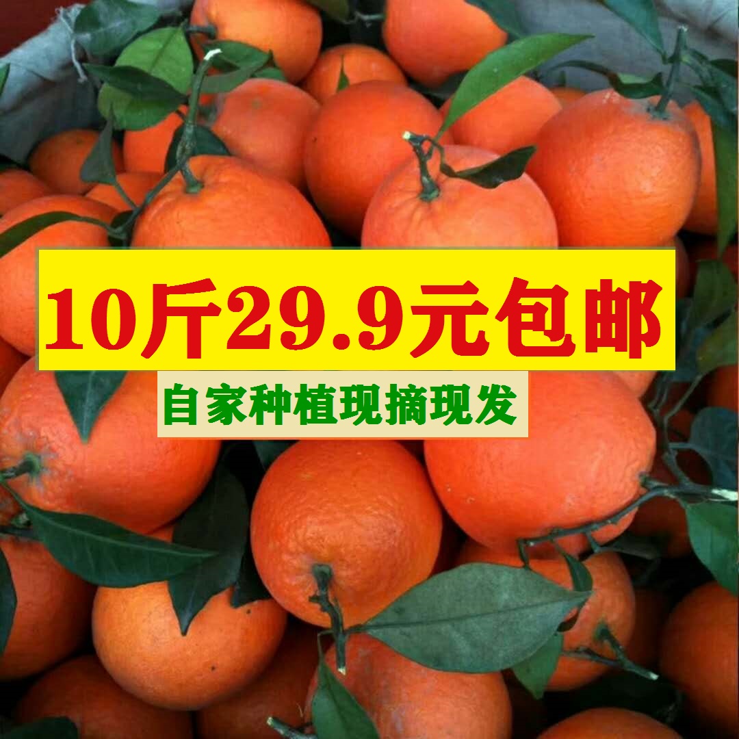 湖南湘西纽荷尔脐橙新鲜水果十斤包邮纯甜多汁当季水果溆浦脐橙