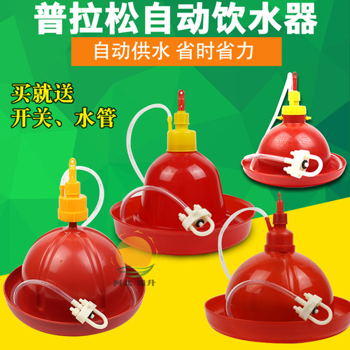 加厚鸡鸭鹅自动饮水器包邮