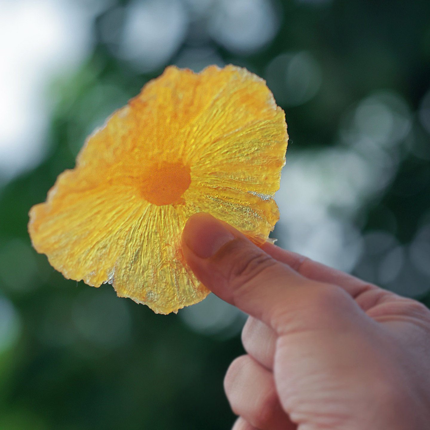 十二千田西双版纳菠萝干凤梨干手工水果干片云南特产200g酸甜包邮