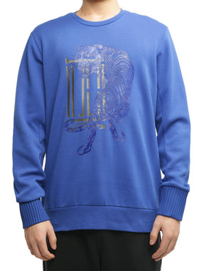 Adidas/阿迪达斯正品男训练卫衣套头衫GF4058 GF4041 GF4040