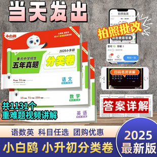 2025小升初小白鸥真题分类卷语文数学英语五六年级总复习入学招生