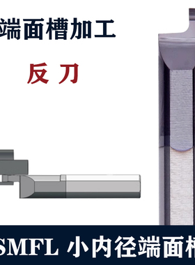 反端面槽刀 SMFL6 22L W2.0 硬质合金刀具微小径数控端面镗刀
